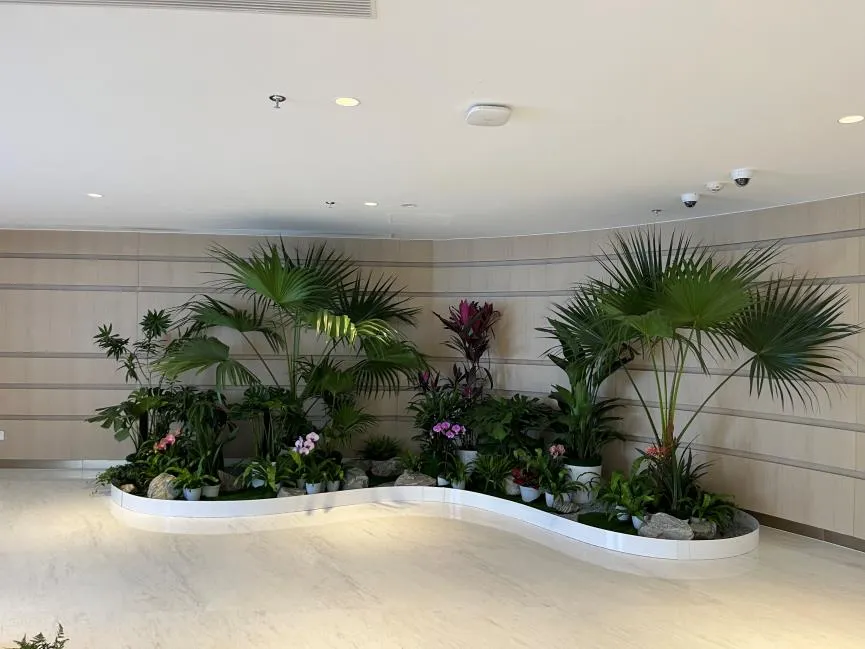 宁波慈溪绿化养护价格全解析，快戳进来看看！